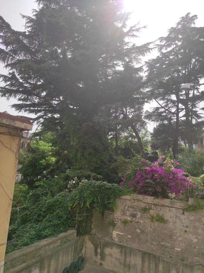 Costa Del Sole Bed & Breakfast Salerno Dış mekan fotoğraf